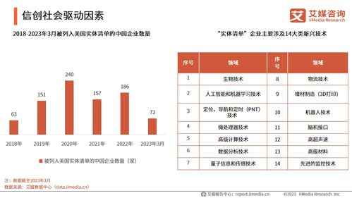 2023年中国信创产业发展白皮书 信息技术咨询服务的深度解读