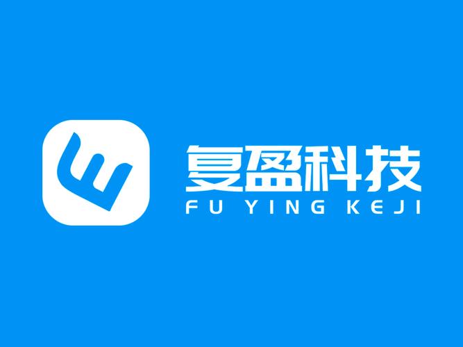 数字时代的探索者 王九妹公司与信息技术咨询服务的价值重构